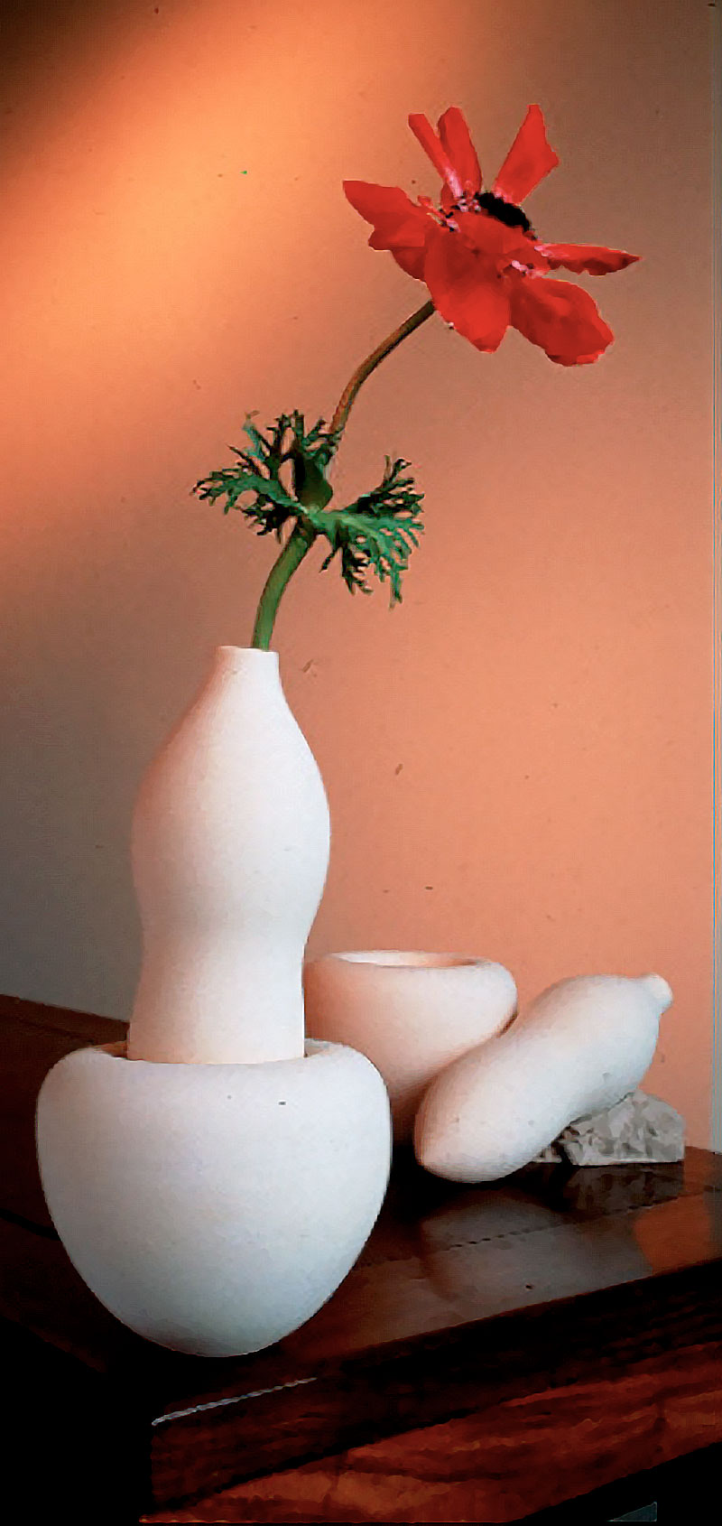 anishkapoorvase