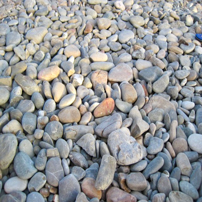 sassettini