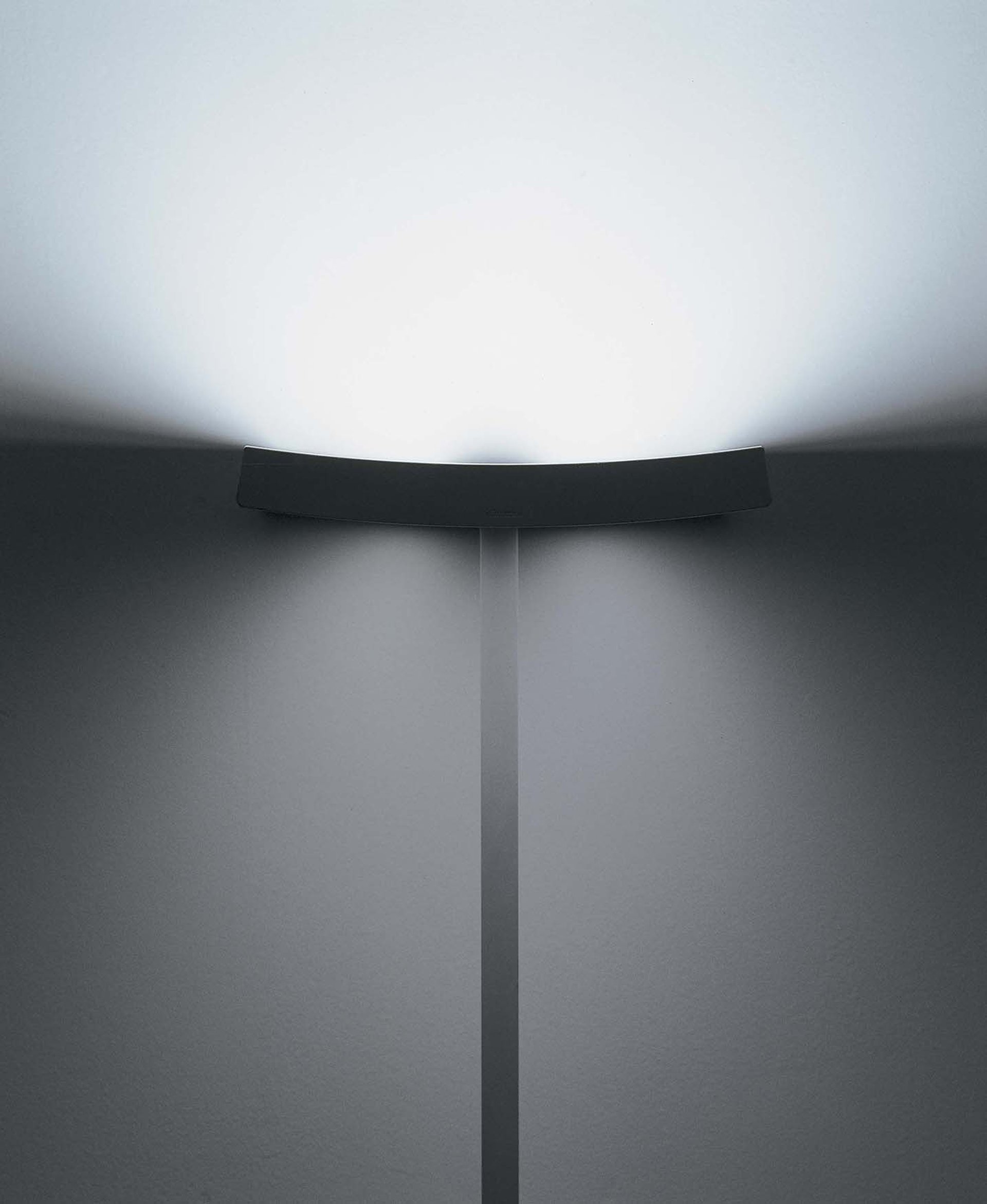 ylight2